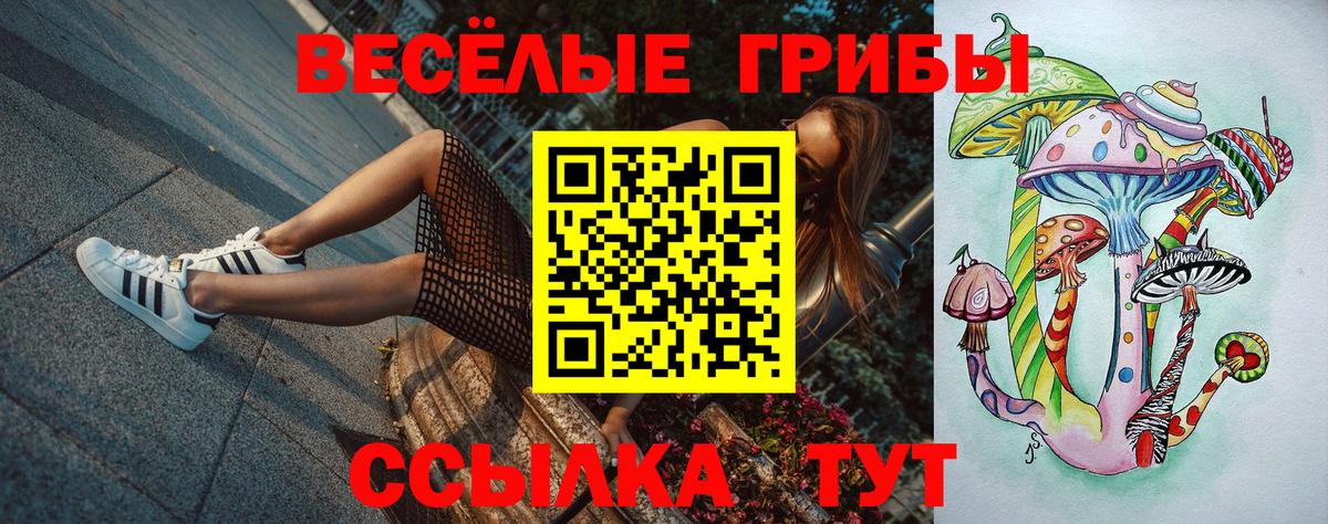 Псилоцибиновые грибы Psilocybine cubensis Зеленодольск