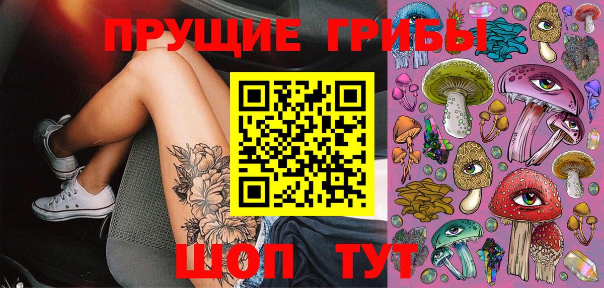 Псилоцибиновые грибы MAGIC MUSHROOMS  Вход с VPN  Зеленодольск  Галлюциногенные грибы Psilocybine cubensis 